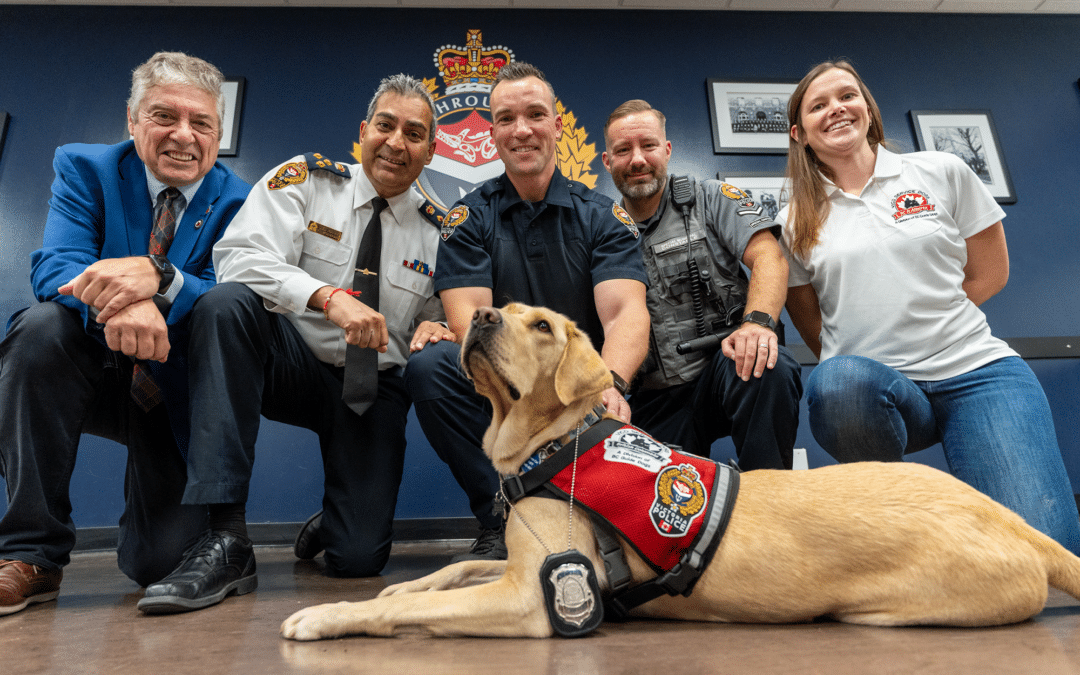 WOUNDED WARRIORS CANADA, IN PARTNERSHIP WITH VICD – BC & ALBERTA GUIDE DOGS, PAIRS PEER SUPPORT DOG WITH VICTORIA POLICE DEPARTMENT