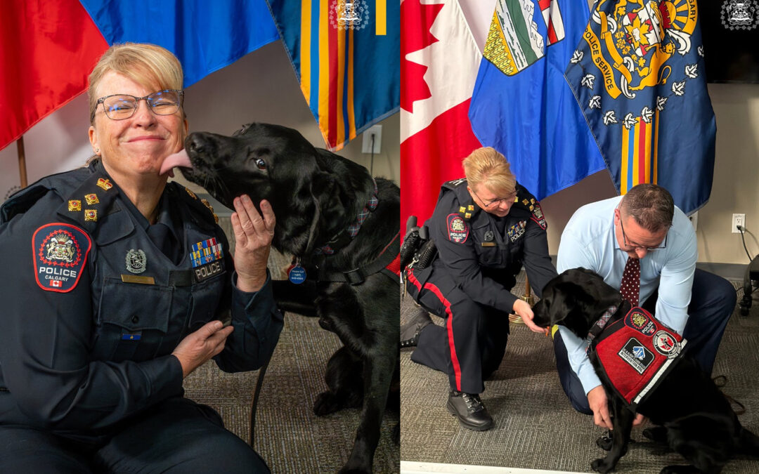 OPERATIONAL STRESS INTERVENTION DOG SADIE JOINS CALGARY POLICE SERVICE